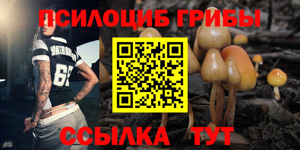Касимов  Псилоцибиновые грибы GOLDEN TEACHER  Вход с VPN 